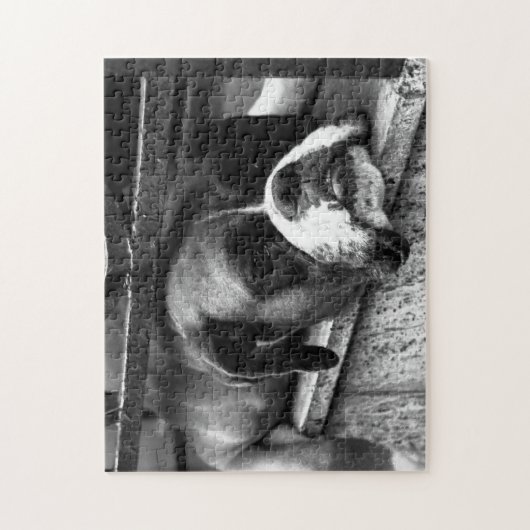 Puzzle Boxer Dog On Windowsill 11x14 252pc jpcnm (Vertical)