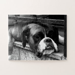 Puzzle Boxer Dog On Windowsill 11x14 30pc jpcn