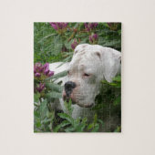 Puzzle Boxeur blanc dans Rhodies rose (Vertical)