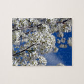 Puzzle Bradford Pear Blooms (Horizontal)