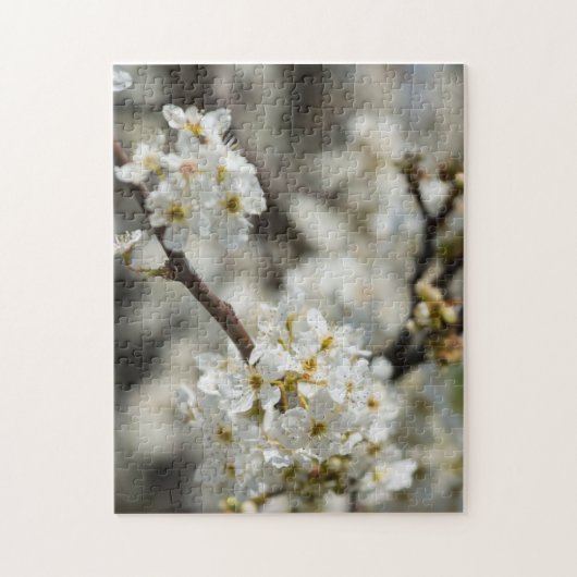 Puzzle Bradford Select Focus (Vertical)