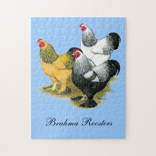 Puzzle Brahmas Three Roosters (Vertical)