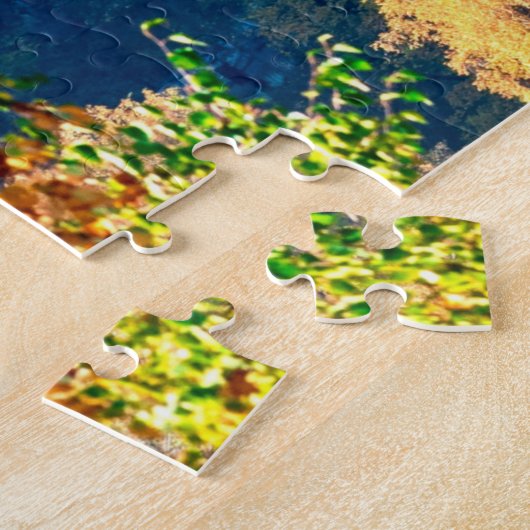 Puzzle Bran castle (Côté)