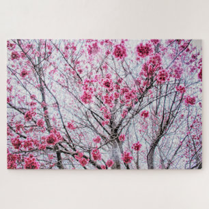 Puzzle Branches et fleurs d'un cerisier