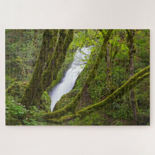 Puzzle Bridal Veil (Horizontal)