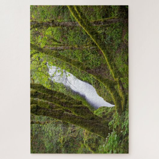 Puzzle Bridal Veil (Vertical)