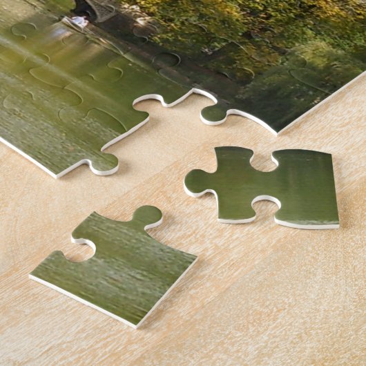 Puzzle Bridge at Central Park, New York City (Côté)