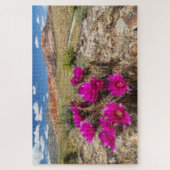 Puzzle Bright pink cactus flowers in Red Rock Canyon, Nv (Vertical)