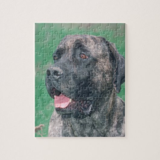 Puzzle Brindle de chien de Masstiff (Vertical)