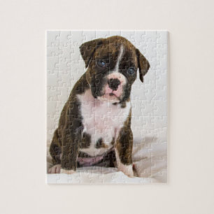 Puzzle Brindle de chiot de boxeur