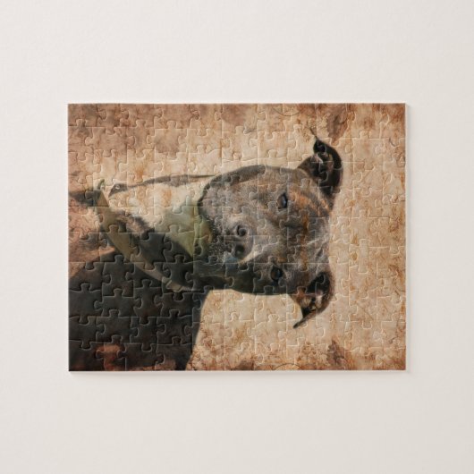Puzzle Brindle et blanc Pitbull (Horizontal)