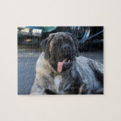 Puzzle Brindle Mastiff Chien (Horizontal)