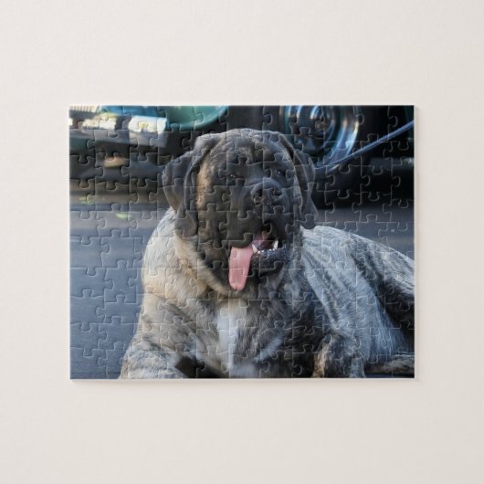 Puzzle Brindle Mastiff Chien (Horizontal)