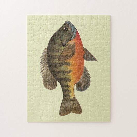 Puzzle Brise de Bluegill (Vertical)