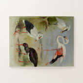 Puzzle British Birds, Illustrations D'Art (Horizontal)