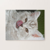 Puzzle British Longhair Kitten - Chocolat, Tabby d'argent (Horizontal)