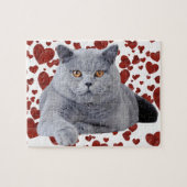 Puzzle British shorthair (Horizontal)