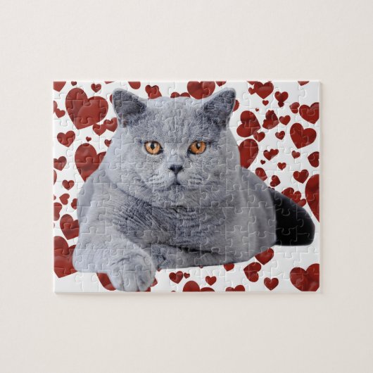 Puzzle British shorthair (Horizontal)