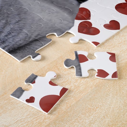 Puzzle British shorthair (Côté)