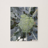 Puzzle Broccoli (Vertical)