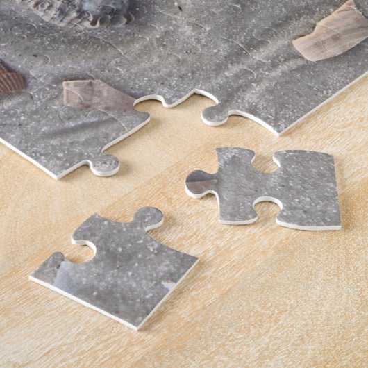 Puzzle Broken Shells on Cape San Blas, Florida (Côté)