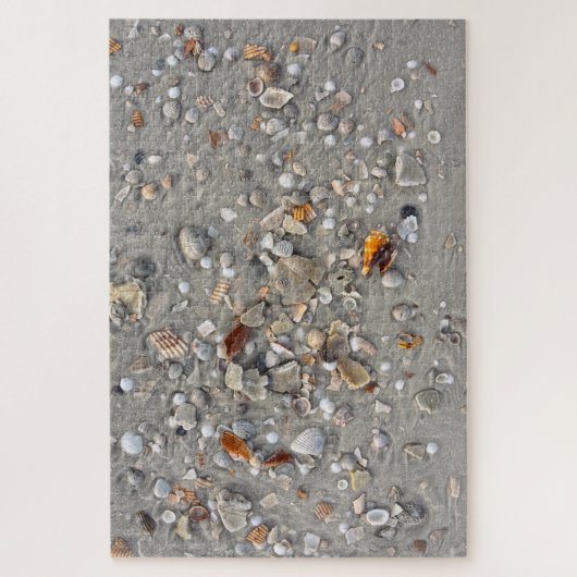 Puzzle Broken Shells on Cape San Blas, Florida (Vertical)