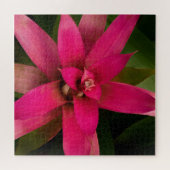 Puzzle Bromeliade en fleur (Horizontal)
