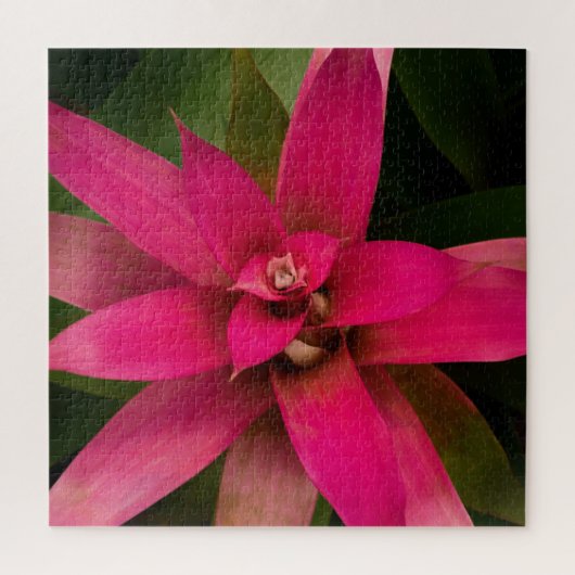 Puzzle Bromeliade en fleur (Vertical)