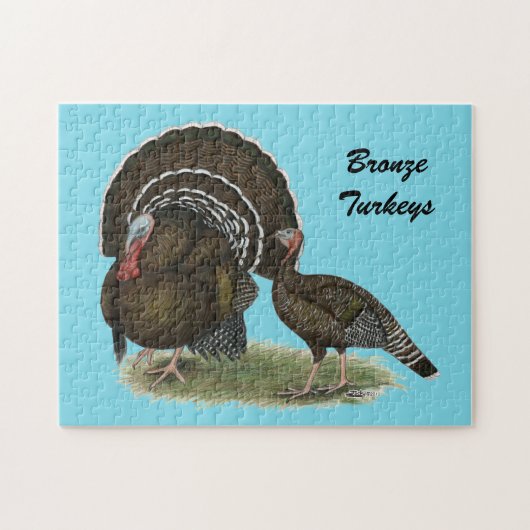 Puzzle Bronze standard de Turkey (Horizontal)