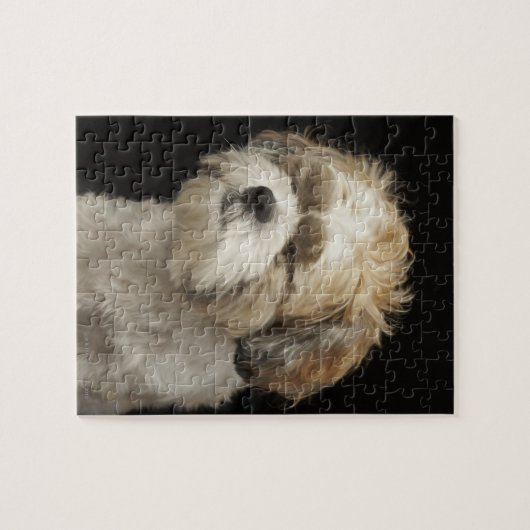 Puzzle Brown and White Shih Tzu with eyes closed (Horizontal)