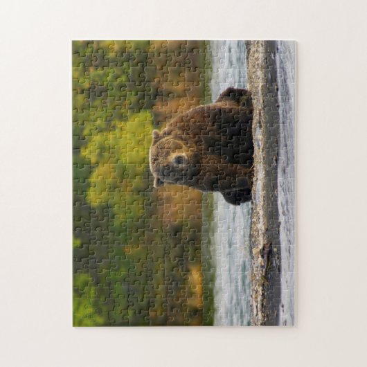 Puzzle Brown Bear Alaska. (Vertical)