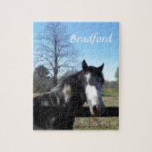 Puzzle Brown &blanc, Cheval Peint, ciel bleu vif (Vertical)