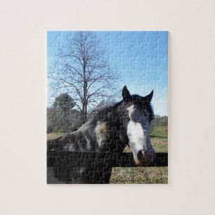 Puzzle Brown &blanc, Cheval Peint, ciel bleu vif