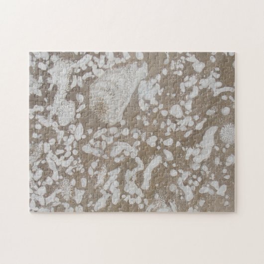 Puzzle Brown et blanc des fossiles du Dévonien (Horizontal)