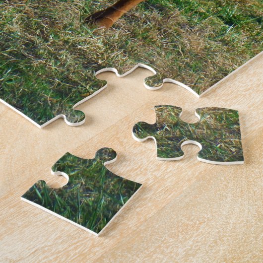 Puzzle Brown et Longhorn blanc Taureau (Côté)