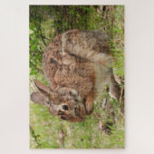 Puzzle Brown Fluffy sauvage Lapin lapin prier (Vertical)
