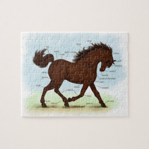 Puzzle Brown Horse Educational Equine Anatomy