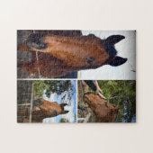 Puzzle Brown Horses (Horizontal)
