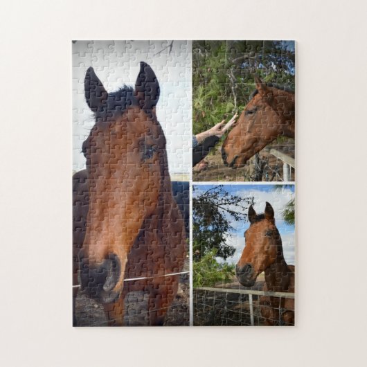 Puzzle Brown Horses (Vertical)
