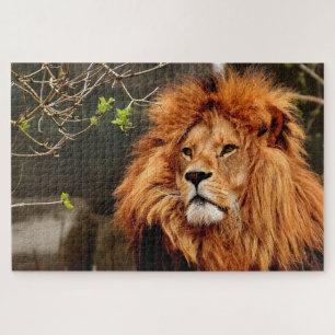 Puzzle Brown lion face photo