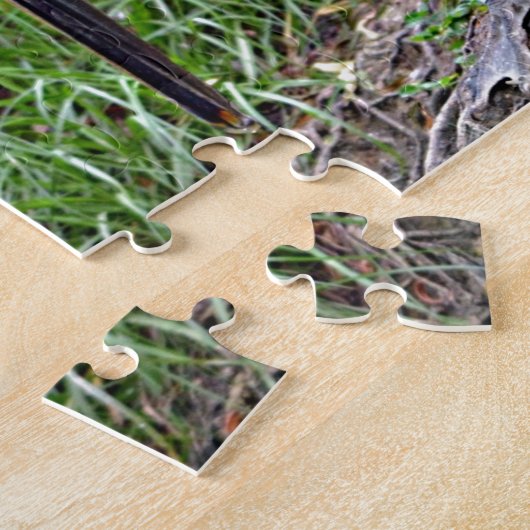 Puzzle Brown Pélican de Louisiane (Côté)