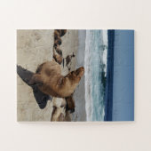 Puzzle Brown Sea Lion on a Beach (Horizontal)