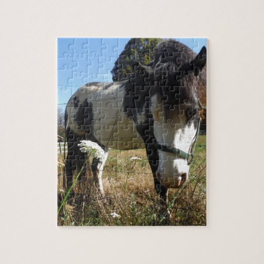 Puzzle Brown & White, Painted Horse, Queen Ann Lace flowe (Vertical)