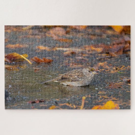 Puzzle Bruant à couronne dorée (Horizontal)
