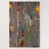 Puzzle Bruant à couronne dorée (Vertical)