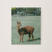 Puzzle - Bruin alpaca in het veld Legpuzzel (Verticaal)