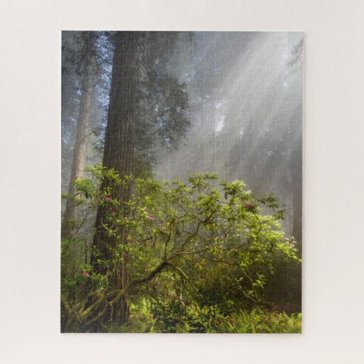 Puzzle Brume matinale sur Rhododendron (Vertical)