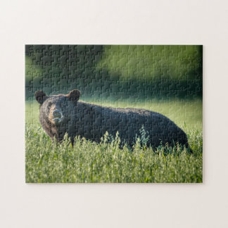 Puzzle Bruno le casse-tête de l'ours