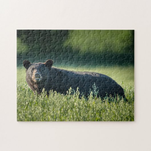 Puzzle Bruno le casse-tête de l'ours (Horizontal)