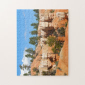 Puzzle Bryce Canyon hoodoos, Utah (Vertical)